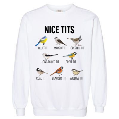 Nice Tits Pun Joke Funny Bird Lover Enthusiast Birdwatcher Garment-Dyed Sweatshirt