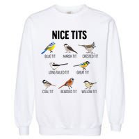 Nice Tits Pun Joke Funny Bird Lover Enthusiast Birdwatcher Garment-Dyed Sweatshirt