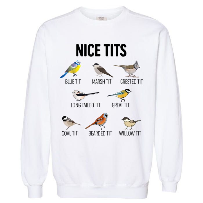 Nice Tits Pun Joke Funny Bird Lover Enthusiast Birdwatcher Garment-Dyed Sweatshirt