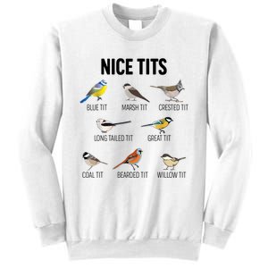 Nice Tits Pun Joke Funny Bird Lover Enthusiast Birdwatcher Sweatshirt