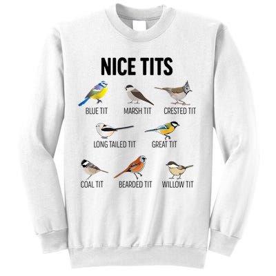 Nice Tits Pun Joke Funny Bird Lover Enthusiast Birdwatcher Sweatshirt