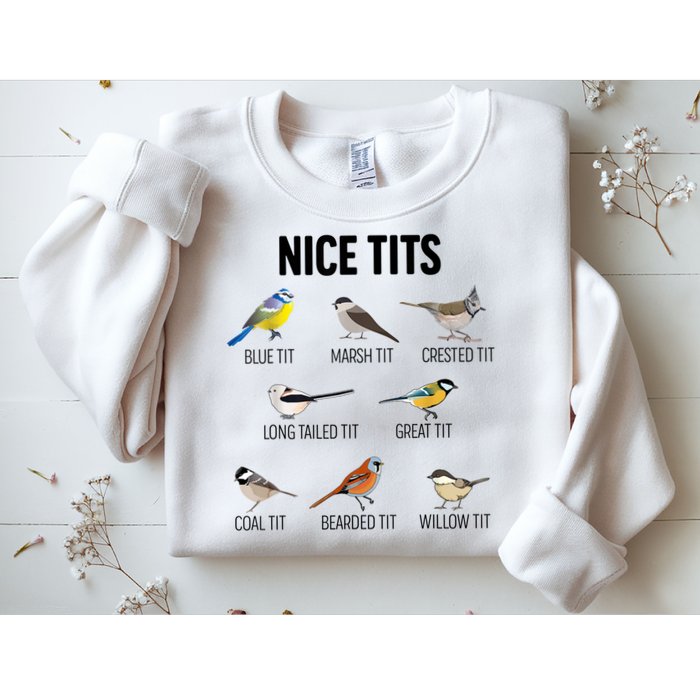 Nice Tits Pun Joke Funny Bird Lover Enthusiast Birdwatcher Sweatshirt