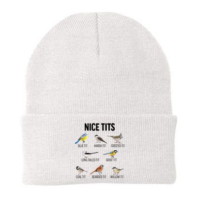 Nice Tits Pun Joke Funny Bird Lover Enthusiast Birdwatcher Beanie