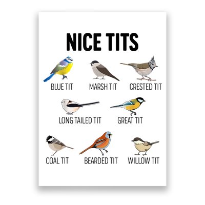 Nice Tits Pun Joke Funny Bird Lover Enthusiast Birdwatcher Poster