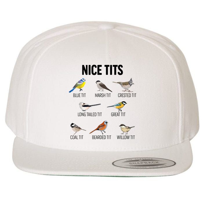 Nice Tits Pun Joke Funny Bird Lover Enthusiast Birdwatcher Wool Snapback Cap
