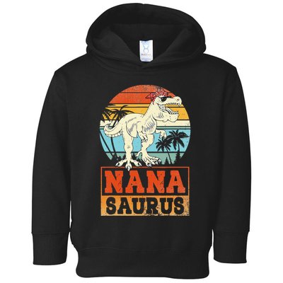 Nanasaurus T Rex Dinosaur Nana Saurus Family Matching Toddler Hoodie