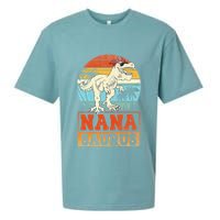 Nanasaurus T Rex Dinosaur Nana Saurus Family Matching Sueded Cloud Jersey T-Shirt