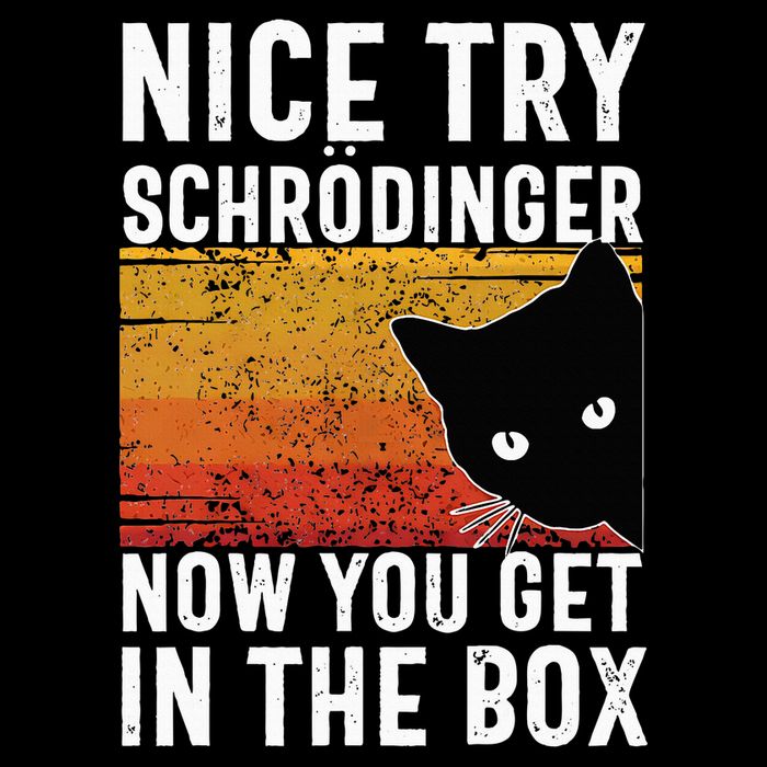 Nice Try Schrodinger Now You Get In The Box Vintage Cat Idea Poster