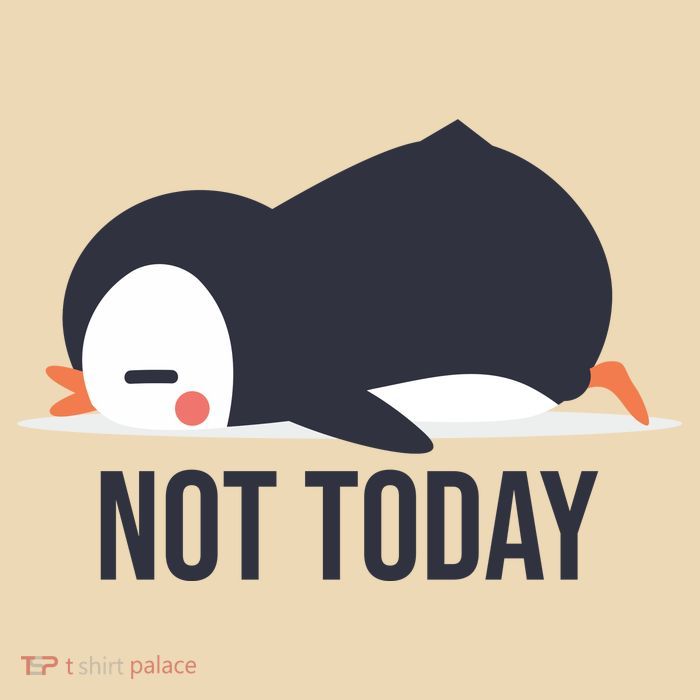 Not Today Seabird Funny Cute Drawstring Bag