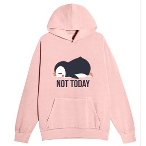 Not Today Seabird Funny Cute Urban Pullover Hoodie