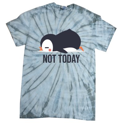 Not Today Seabird Funny Cute Tie-Dye T-Shirt