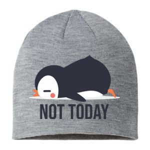 Not Today Seabird Funny Cute Sustainable Beanie