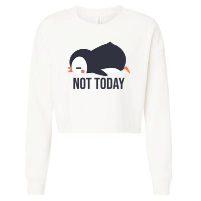 Not Today Seabird Funny Cute Cropped Pullover Crew