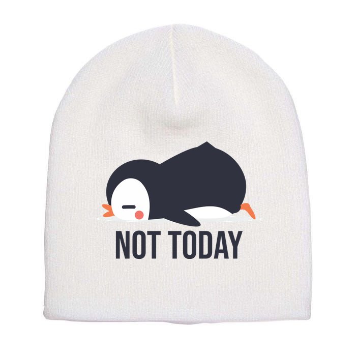 Not Today Seabird Funny Cute Short Acrylic Beanie
