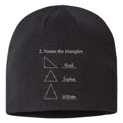 Name The Triangles Math Problem Funny Math Lover Sustainable Beanie