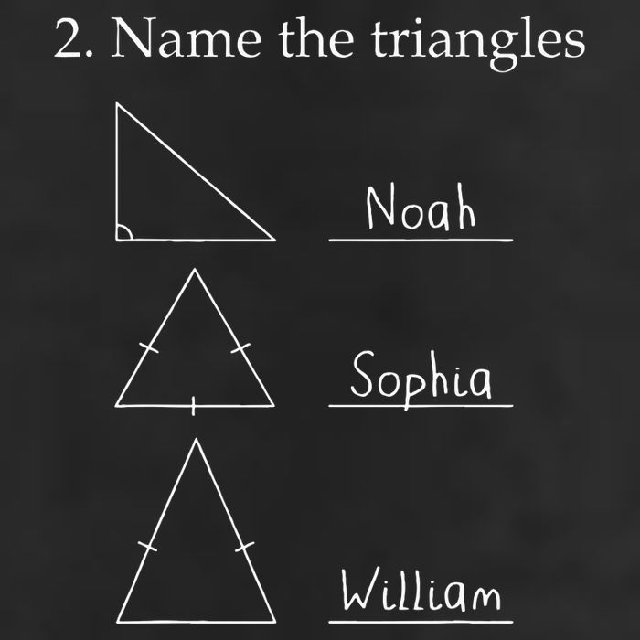 Name The Triangles Math Problem Funny Math Lover 25L Jumbo Tote