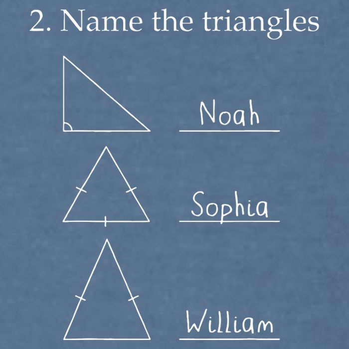 Name The Triangles Math Problem Funny Math Lover Garment-Dyed Sweatshirt