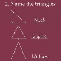Name The Triangles Math Problem Funny Math Lover 16oz Travel Tumbler