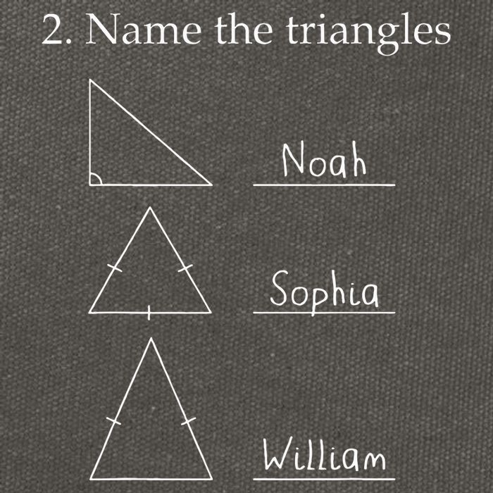 Name The Triangles Math Problem Funny Math Lover Cotton Canvas Backpack