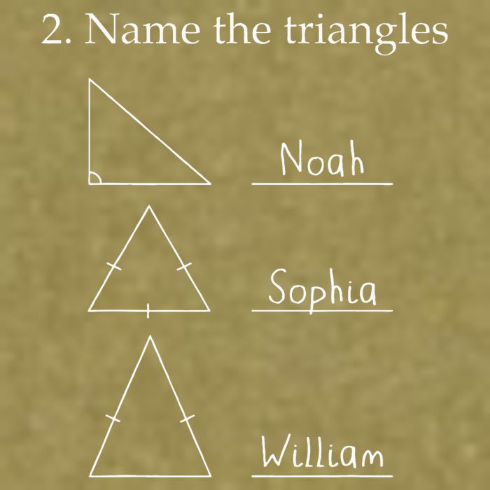Name The Triangles Math Problem Funny Math Lover Garment-Dyed Women's Muscle Tee