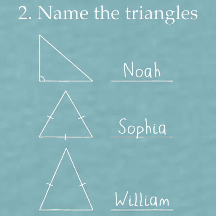 Name The Triangles Math Problem Funny Math Lover Sueded Cloud Jersey T-Shirt
