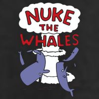 Nuke The Whales Funny Adult Drive Performance Visor