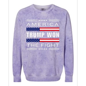 New! Trump Won! Wins! America Trump Won The Fight Trump Won Colorblast Crewneck Sweatshirt