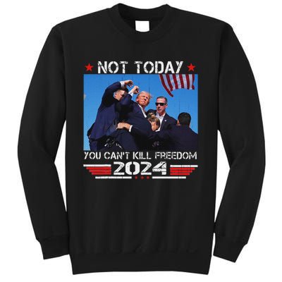 Not Today You CanT Kill Freedom Stronger Sweatshirt