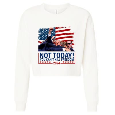 Not Today You CanT Kill Freedom Trump 2024 Fight Fist Epic Cropped Pullover Crew