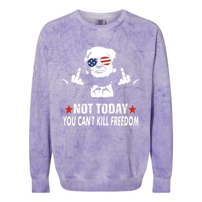 Not Today You CanT Kill Freedom Colorblast Crewneck Sweatshirt