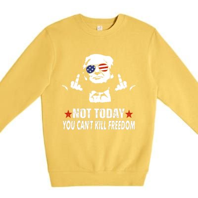 Not Today You CanT Kill Freedom Premium Crewneck Sweatshirt