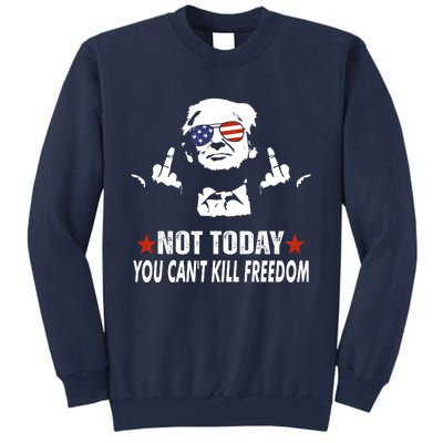 Not Today You CanT Kill Freedom Sweatshirt