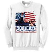 Not Today You CanT Kill Freedom Trump 2024 Fight Fist Epic Sweatshirt