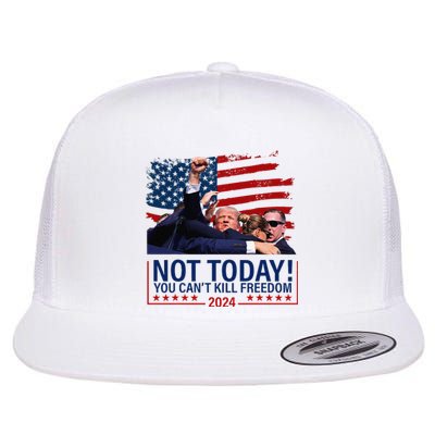 Not Today You CanT Kill Freedom Trump 2024 Fight Fist Epic Flat Bill Trucker Hat