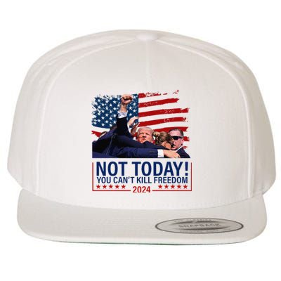 Not Today You CanT Kill Freedom Trump 2024 Fight Fist Epic Wool Snapback Cap