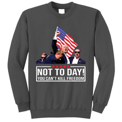 Not Today You Cant Kill Freedom I Support President 45 47 Tall Sweatshirt