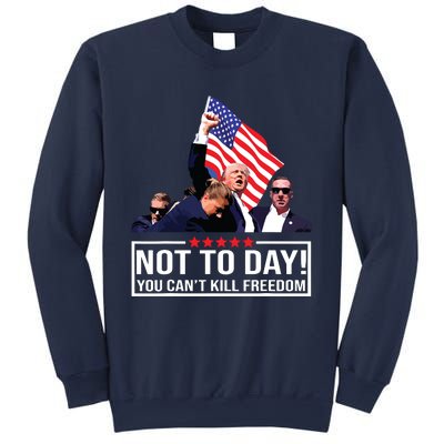 Not Today You Cant Kill Freedom I Support President 45 47 Sweatshirt