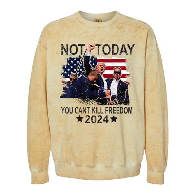 Not Today You CanT Kill Freedom Colorblast Crewneck Sweatshirt