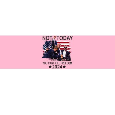 Not Today You CanT Kill Freedom Bumper Sticker