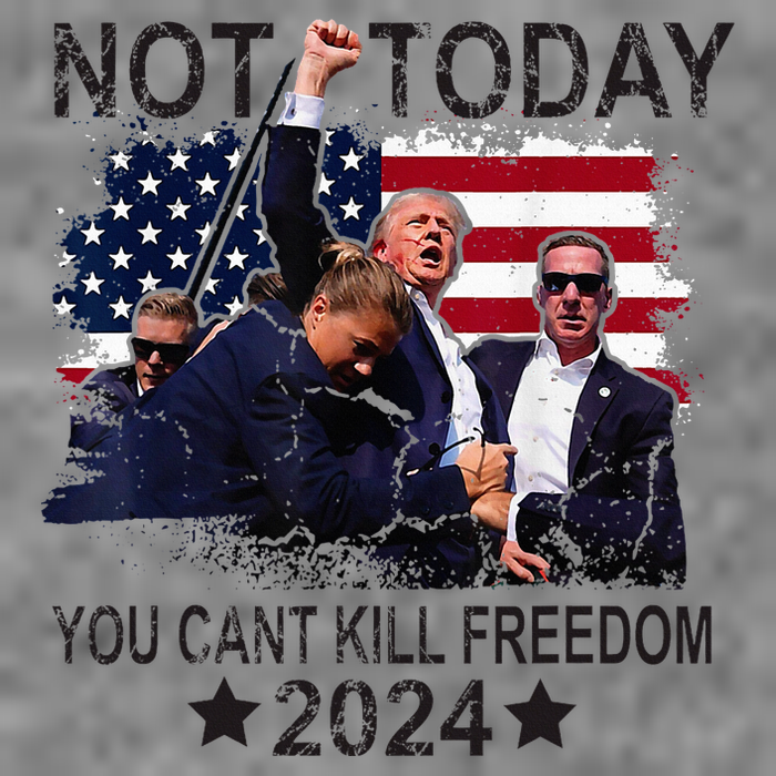 Not Today You CanT Kill Freedom Hooded Wearable Blanket