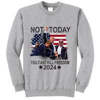 Not Today You CanT Kill Freedom Tall Sweatshirt