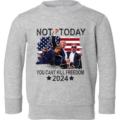 Not Today You CanT Kill Freedom Toddler Sweatshirt