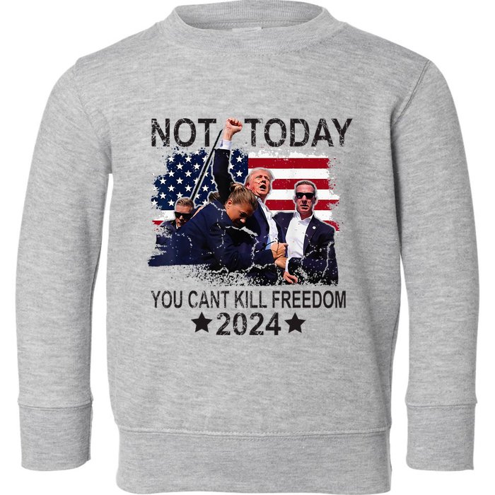 Not Today You CanT Kill Freedom Toddler Sweatshirt