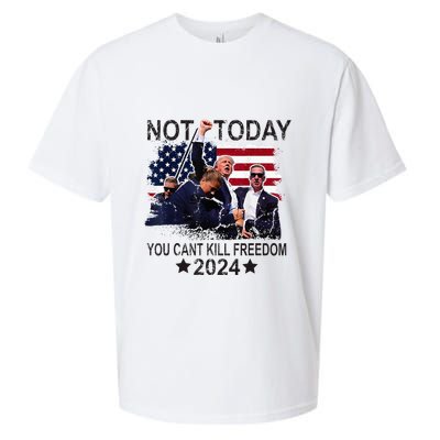 Not Today You CanT Kill Freedom Sueded Cloud Jersey T-Shirt