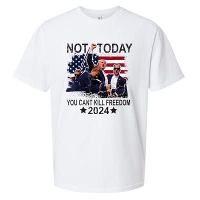 Not Today You CanT Kill Freedom Sueded Cloud Jersey T-Shirt