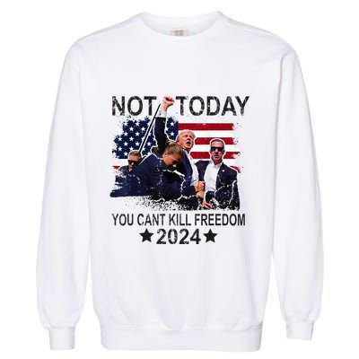 Not Today You CanT Kill Freedom Garment-Dyed Sweatshirt