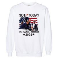 Not Today You CanT Kill Freedom Garment-Dyed Sweatshirt