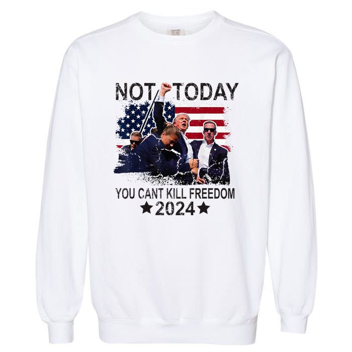 Not Today You CanT Kill Freedom Garment-Dyed Sweatshirt