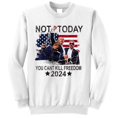 Not Today You CanT Kill Freedom Sweatshirt