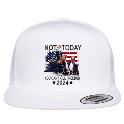 Not Today You CanT Kill Freedom Flatbill Hat